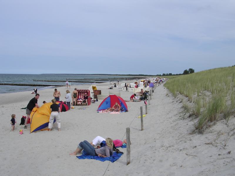 Ahrenshoop Strand3