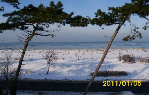 Ahrenshoop Winter Herinz Klein