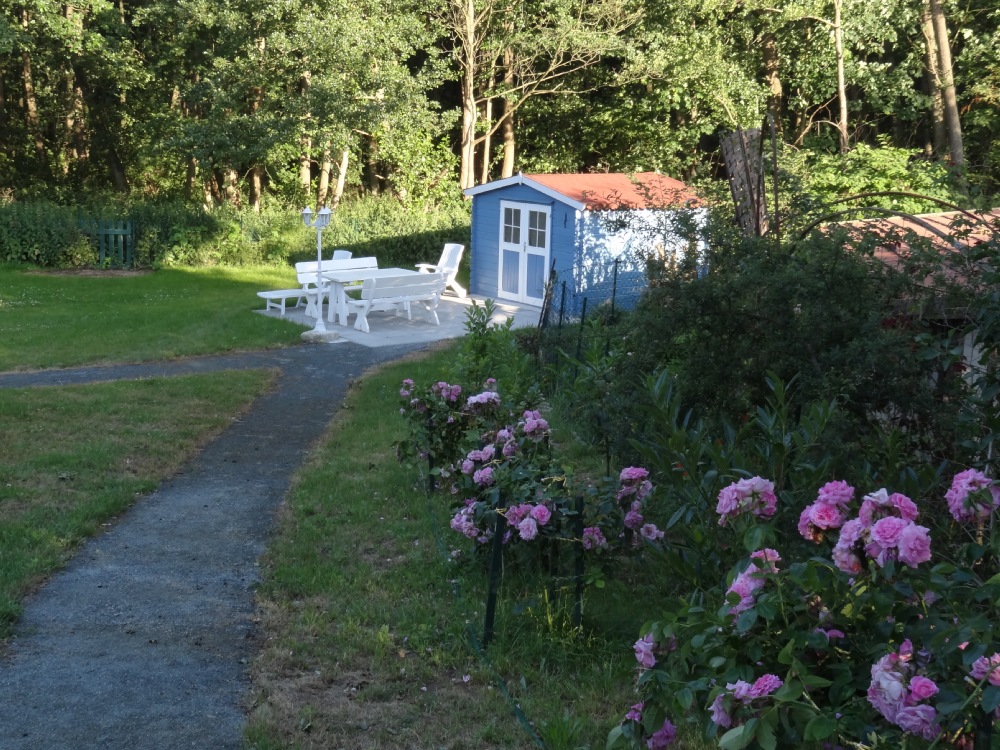 DSC04992